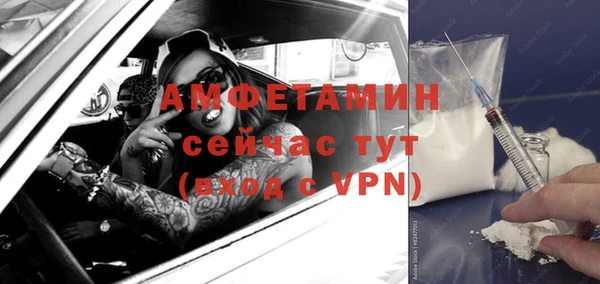 твердый Бородино