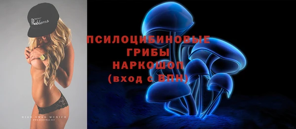 твердый Бородино