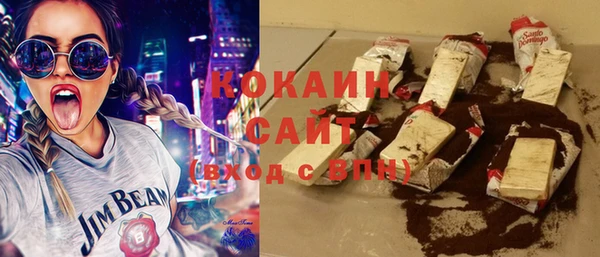 твердый Бородино