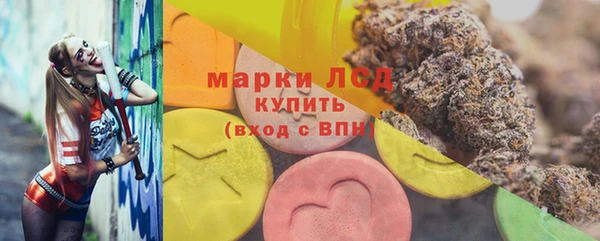 твердый Бородино
