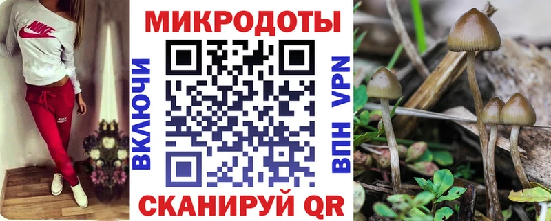 Галлюциногенные грибы прущие грибы  Купить закладки  Бирюсинск 